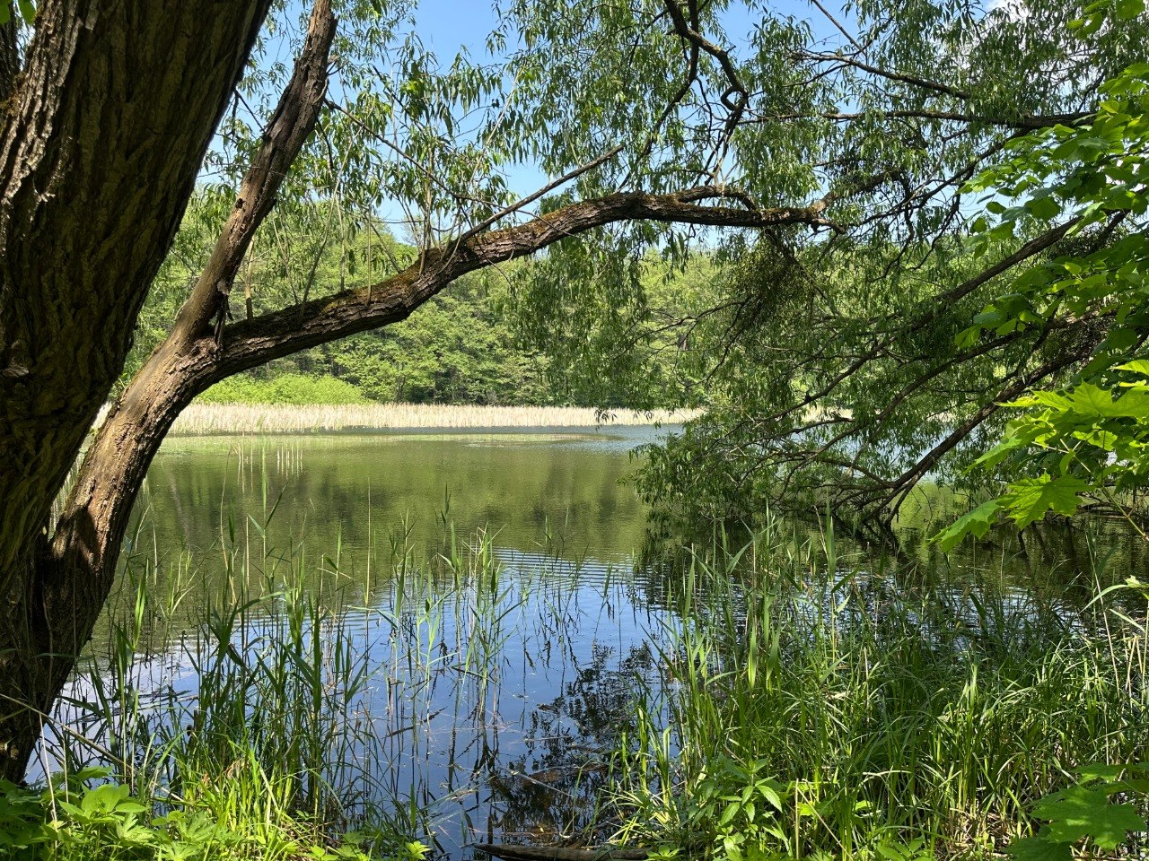photo 2026 09 02 11 26 17 3
