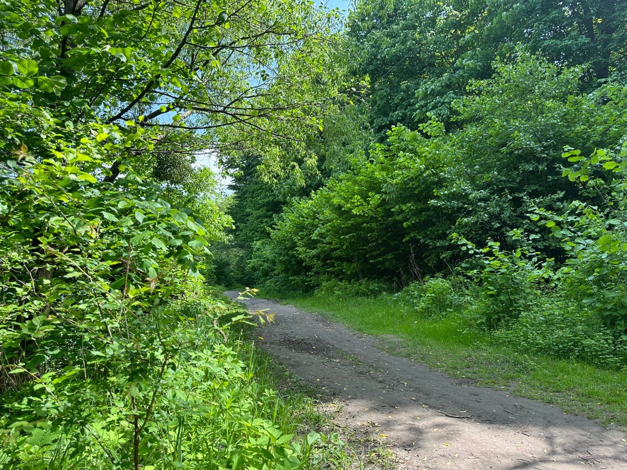 photo 2026 09 02 11 26 17 4